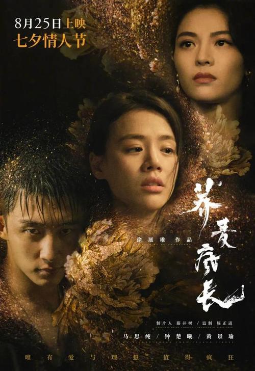 定制威尔斯学院文凭毕业证
